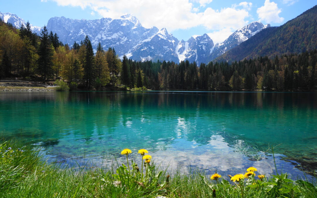 I laghi di Fusine