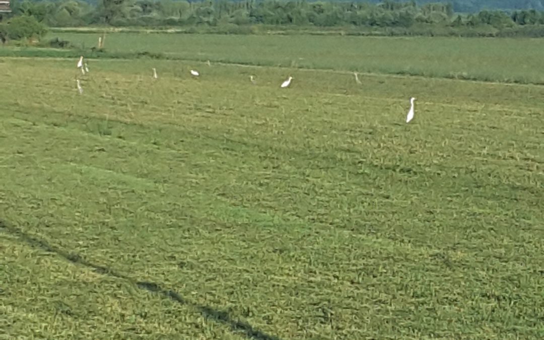 Preval: dove natura e silenzio prevalgono